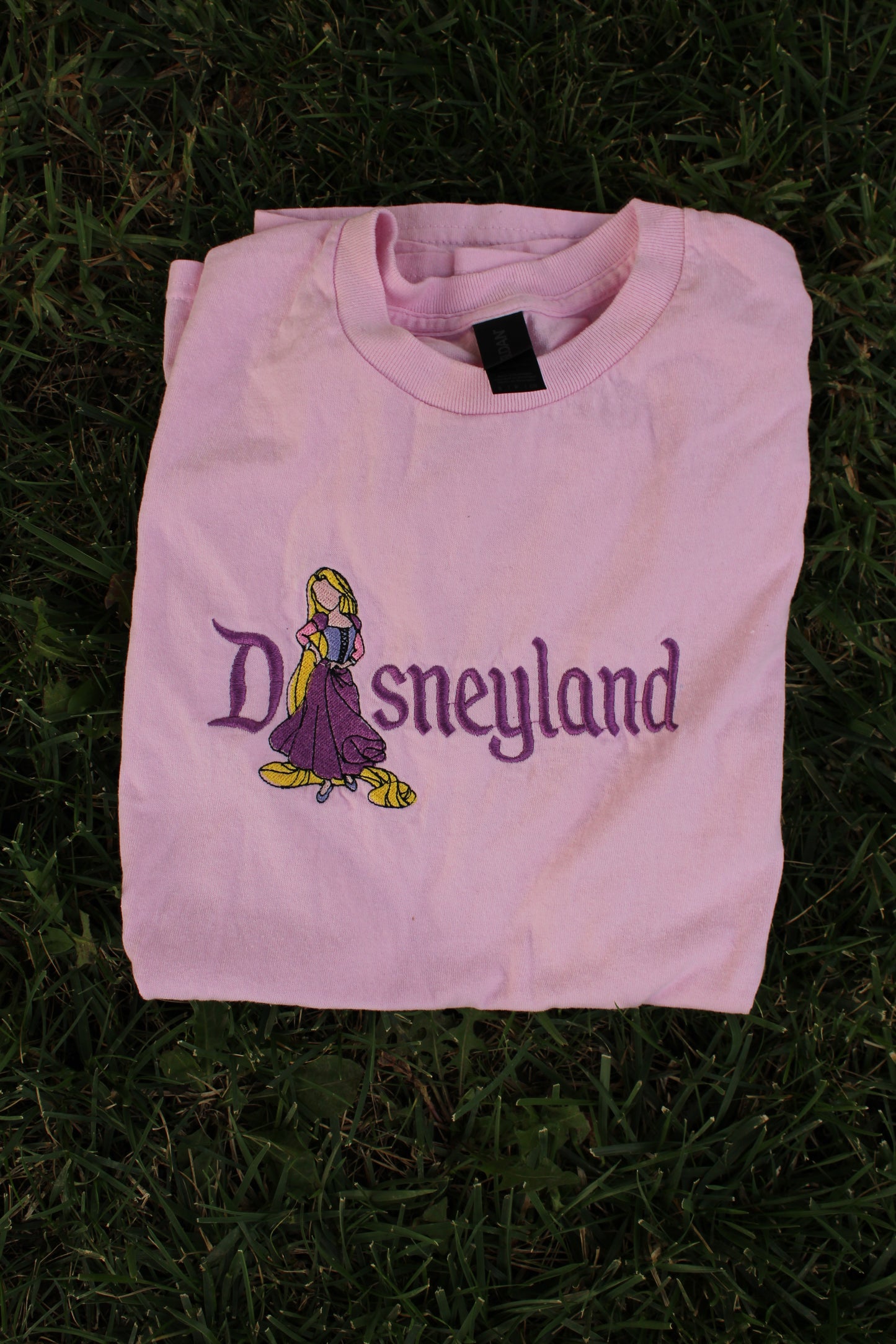 Rapunzel Disneyland