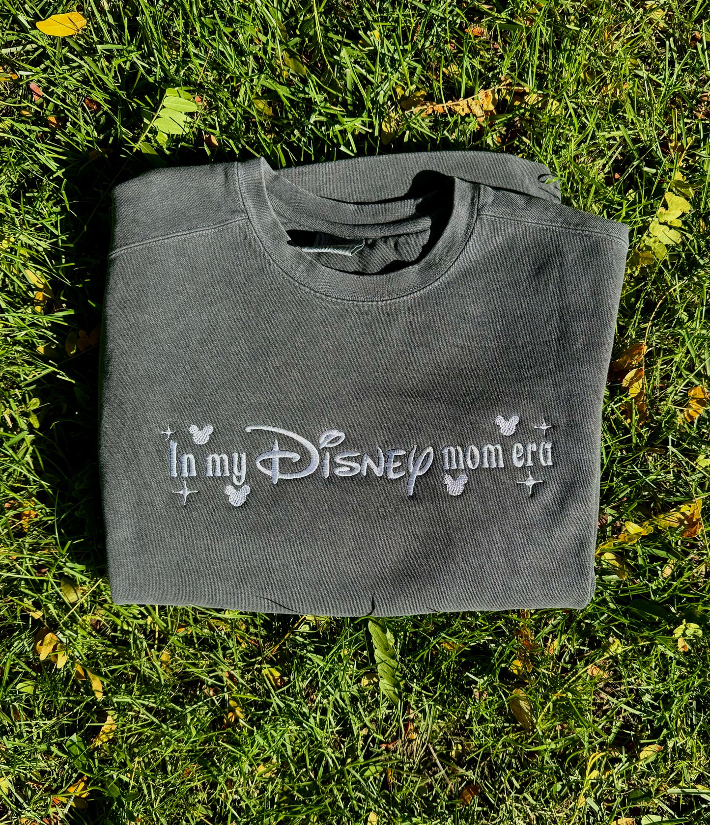 Disney ERA
