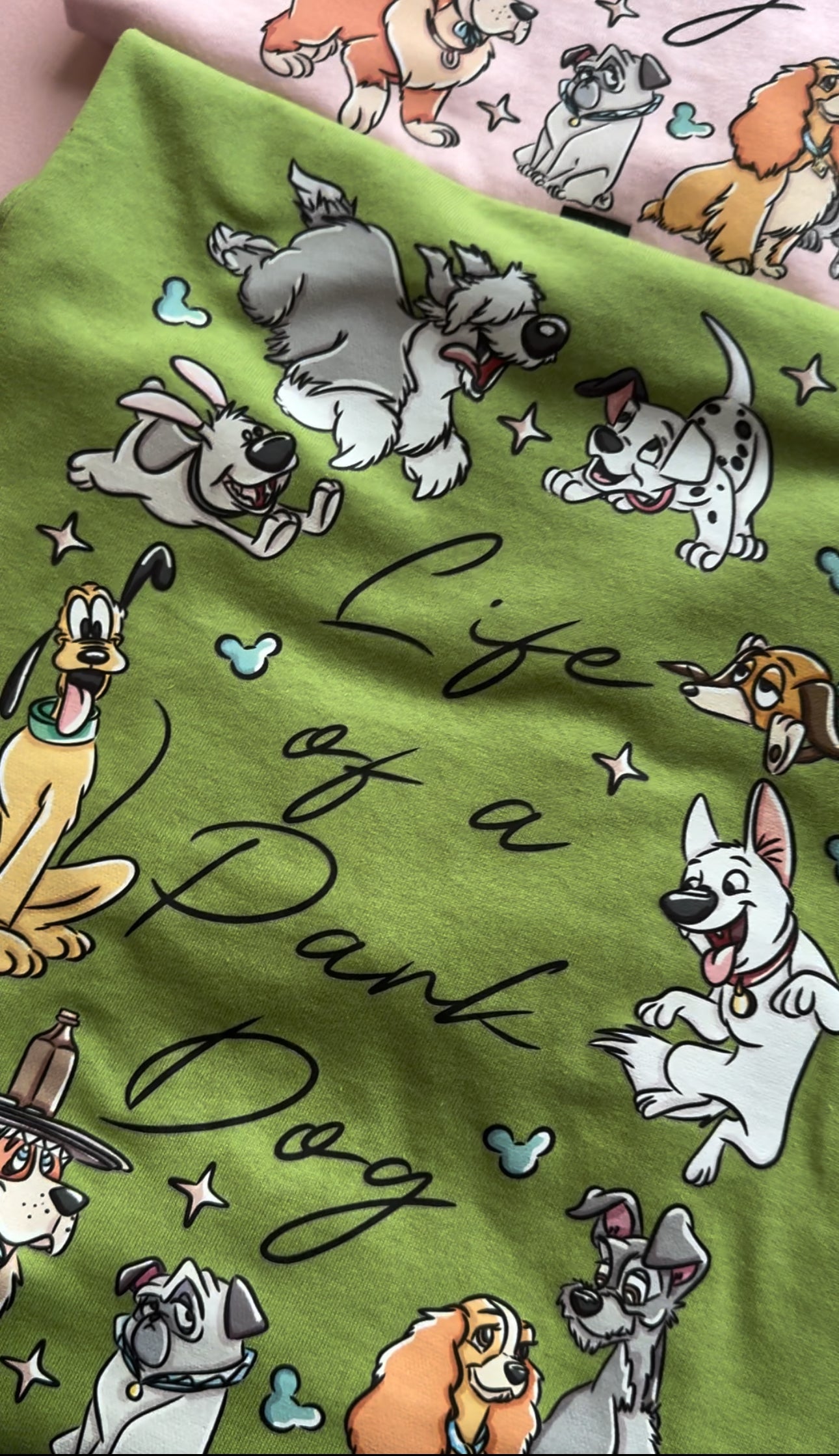 Park dog life graphic